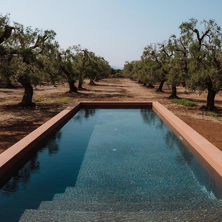 Ozio - Il Trullo Rosso Bed and Breakfast Fasano Buitenkant foto