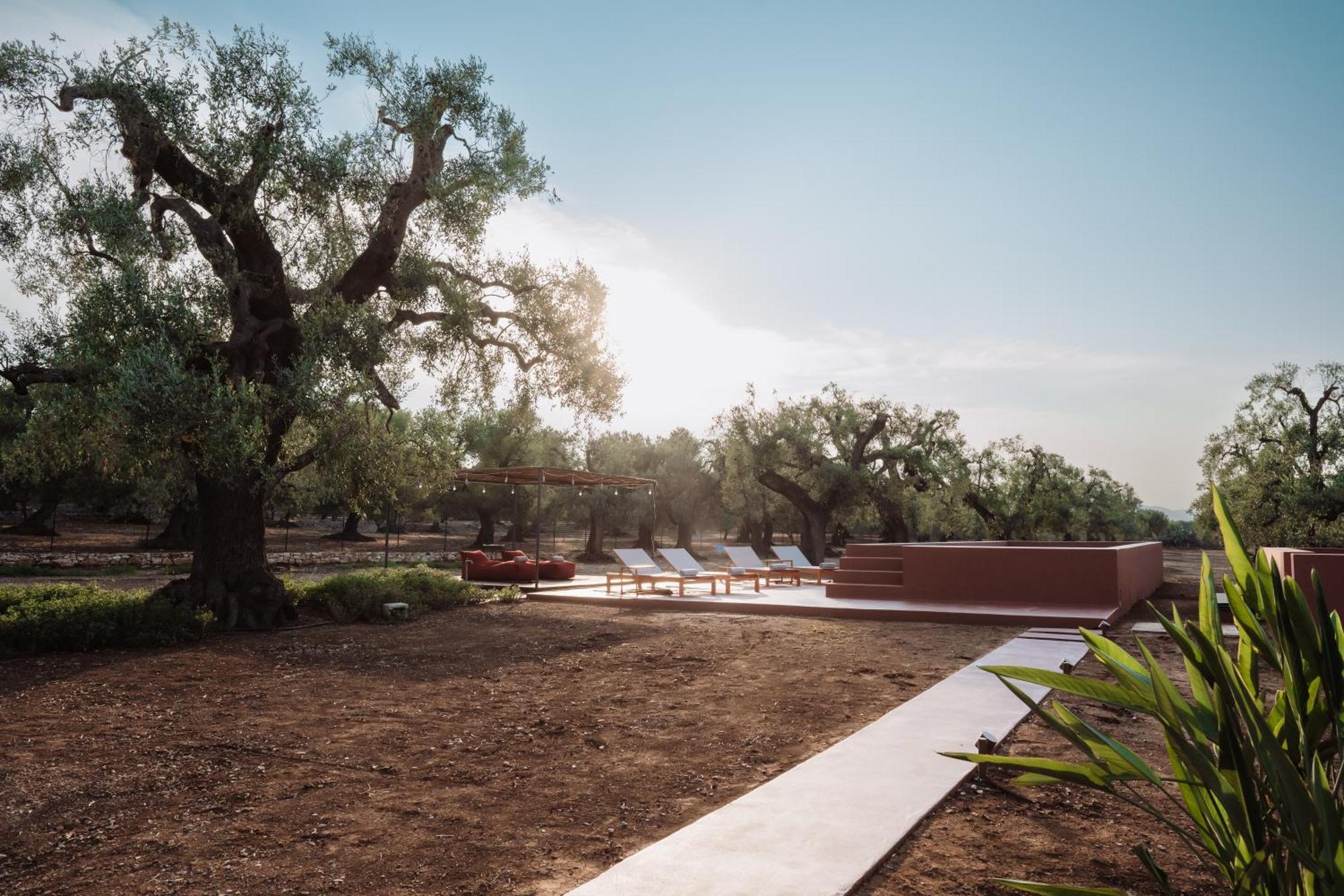 Ozio - Il Trullo Rosso Bed and Breakfast Fasano Buitenkant foto
