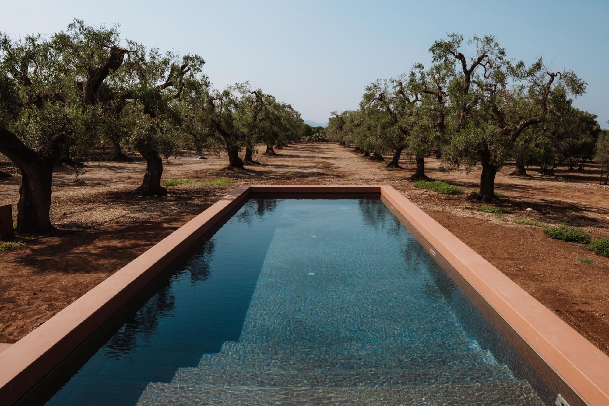 Ozio - Il Trullo Rosso Bed and Breakfast Fasano Buitenkant foto